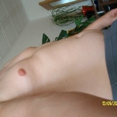 holzwerk Vorschaubild